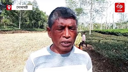 নুমলীগড়ত উদ্ধাৰ অৰ্ধগলিত নাহৰফুটুকী