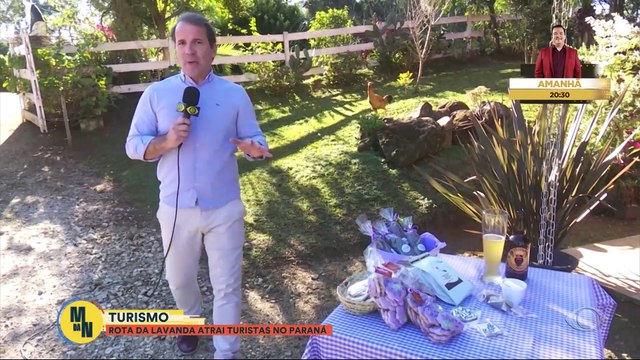 Rota da lavanda atrai turistas no interior do Paraná | Melhor da Noite