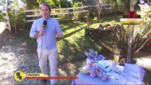 Rota da lavanda atrai turistas no interior do Paraná | Melhor da Noite