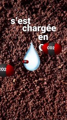 Comment se forment les stalactites ?