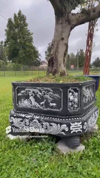 Vente de pots XXL de style zen asiatique uniques en France pour bonsaï géant. Plusieurs modèles sont disponibles, couleurs personnalisables !