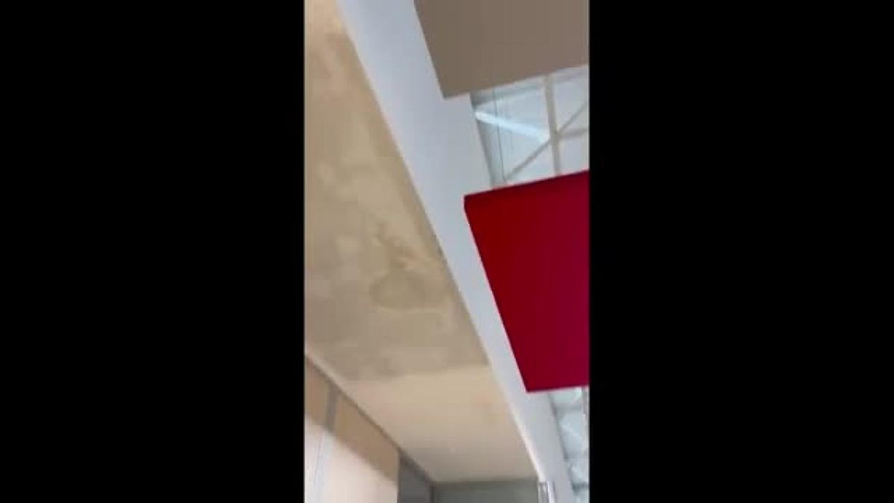 Maltempo in Puglia, piove anche negli uffici della Regione: ecco come i dipendenti affrontano il problema