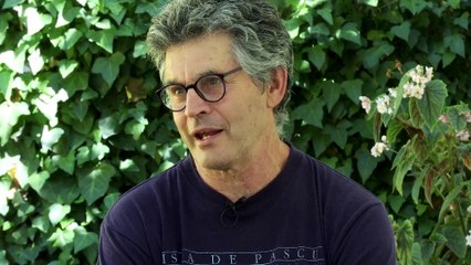 Historias del poder y de la vida - Tráiler