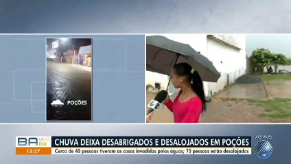 Mulher é "atropelada" por jegue durante entrevista ao vivo na Bahia