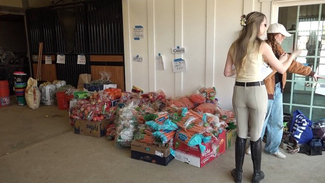 Cientos de animales vulnerables por los incendios de Los Ángeles