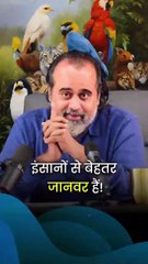 इंसानों से बेहतर जानवर हैं || आचार्य प्रशांत