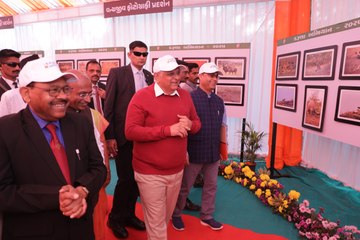 VIDEO: करुणा अभियान: 600 पशु चिकित्सक, 8 हजार स्वयंसेवक कार्यरत