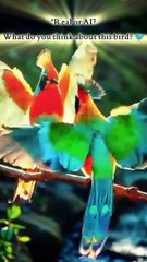 Har Aik Ko Surah Rahman Se Fayda Milta Hai 01 #SurahRahman #Fayda #BlessingsHar Aik Ko Surah Rahman Se Fayda Milta Hai 01 #SurahRahman #Fayda #Blessings