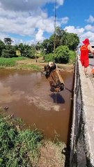 VÍDEO: Carro envolvido em acidente é removido do Rio Piraí em Araquari