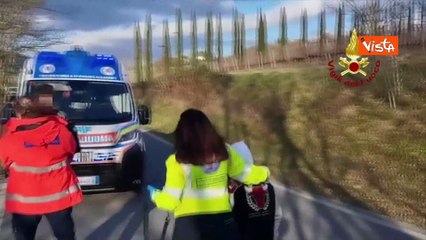 Albero cade su uno scuolabus a Rignano sull'Arno, 8 bambini all'ospedale