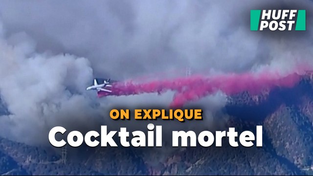 Plus mortelle que les incendies, la fumée à Los Angeles risque de faire des ravages