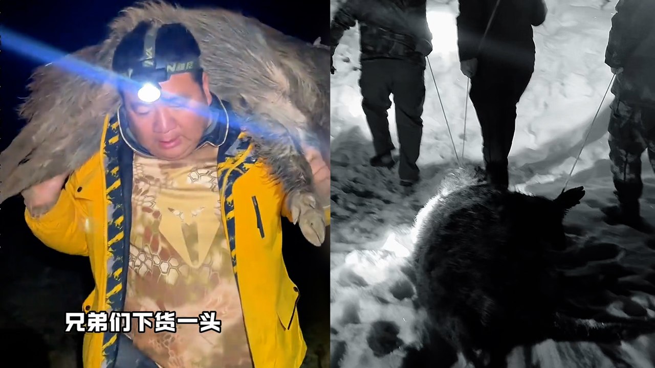 Ces chasseurs de prime de sangliers sont devenus des stars des réseaux sociaux en Chine