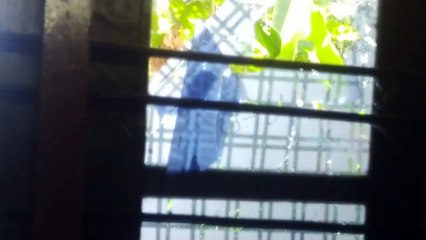 വീടുകയറി ആക്രമണം