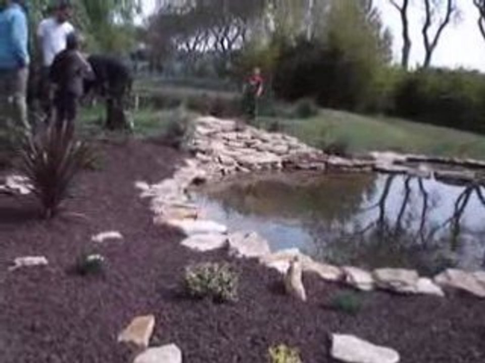 Etangs d'Occitanie 25 avril 2008  3eme Bassin