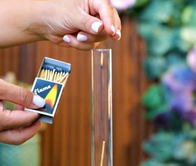 Grow easy, grow beautiful! Hacks for gardening success!