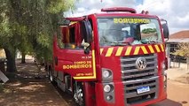 Cobra solta no Interlagos! Bombeiros são acionados para captura, mas serpente foge