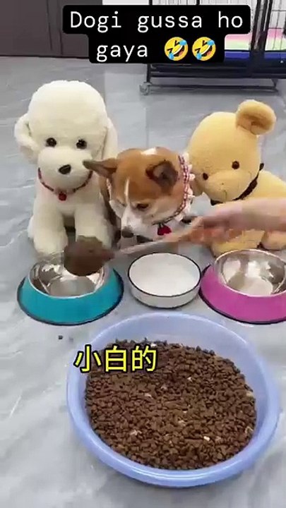 1000015676
