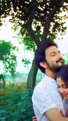 তুমি আমার আকাশ হবে