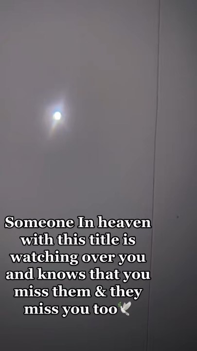 🕊️🤍🤍