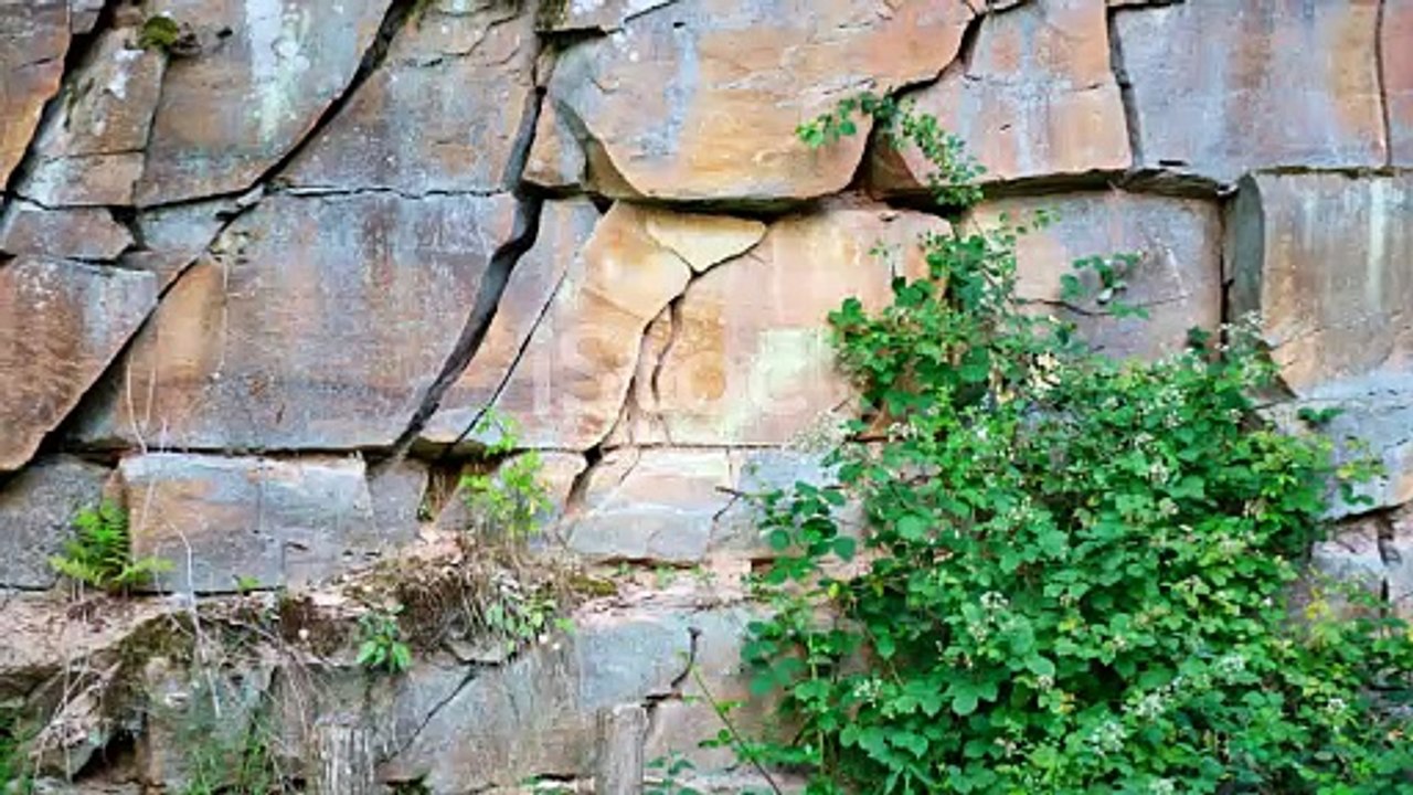 ¡Increíble! Científicos descubren un mundo bajo el Océano Índico