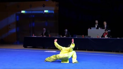 2024-05 Stili Imitativi Arti Marziali 19th European Wushu Championships Stockholm Sweden Imitation styles 武术 散手 散打