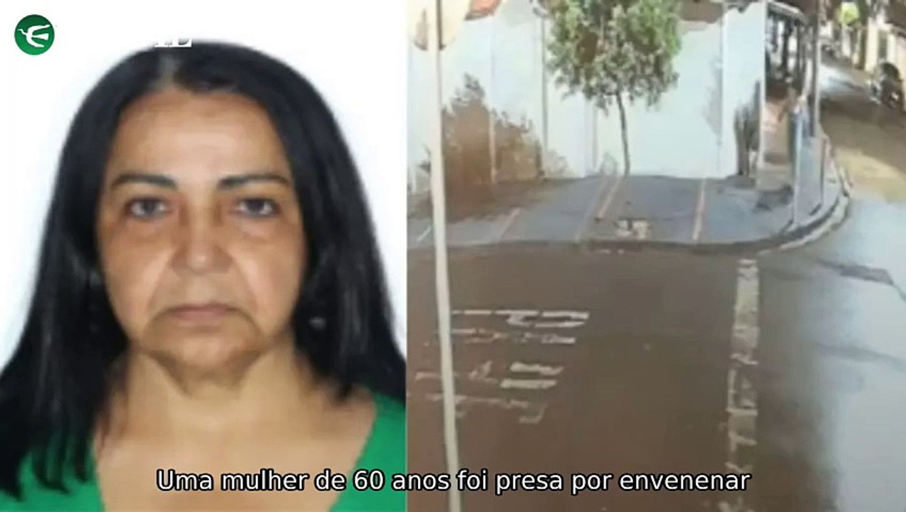 "Nova rival da Biz promete agitar mercado; mulher é presa por envenenar gatos e benefícios para idosos"