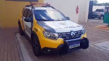 Homem de 63 anos detido por suspeita de maus-tratos a gato no Veneza