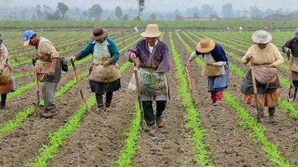 Polémica entre el Gobierno y Antioquia por zonas de protección para la producción de alimentos