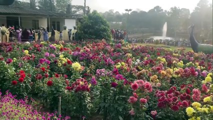 Hn_Ani_Kl_Awayanad_9th_Edition_Of_The_International_Flower_Show_03-55-51