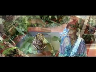 Gandhi Park | movie | 2008 | Official Trailer