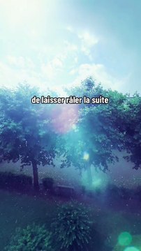 Le silence est un ami qui ne trahit jamais #motivation #conseils #citation #inspiration #success #proverbe #conseil #sagesse