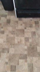 part 1 of throwing cheese