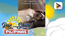 Sunshine Stories | Masipag na pusa, kinagigiliwan sa social media dahil sa pagmasahe sa amo