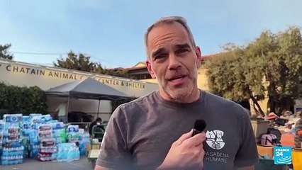 Animales rescatados de los incendios en Los Ángeles desbordan los albergues