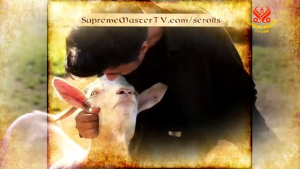 Kindness to Animals in Religions, Part 2 of 3