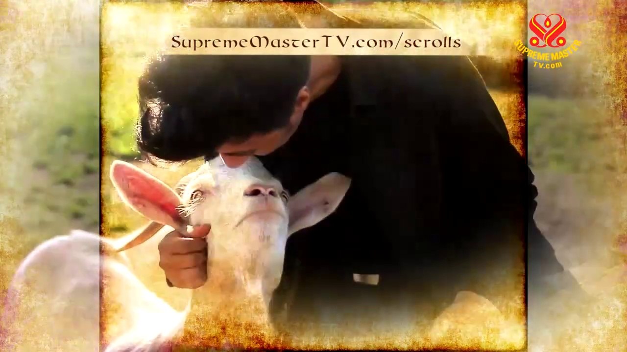 Kindness to Animals in Religions, Part 2 of 3