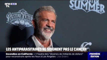 Contrairement à ce qu'affirme Mel Gibson dans un podcast, les antiparasitaires ne soignent pas le cancer