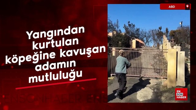 ABD'de yangından kurtulan köpeğine kavuşan adamın mutluluğu