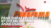 PANR Dapat Dividen Rp399 Miliar dari Anak Usaha