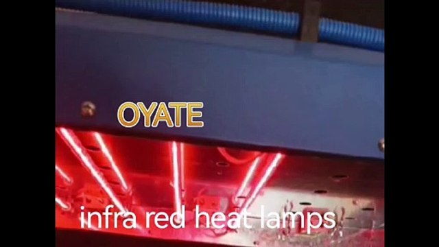 460mm 220v 1000w infra red ruby halogen heating lamps used in the flash dryers