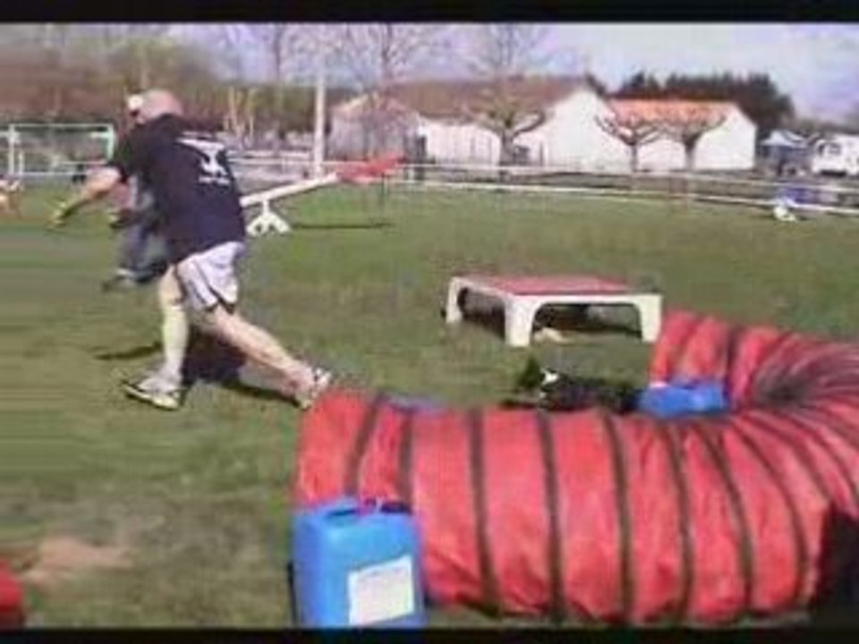 Championnat Agility Poitou-Charentes & GPF  2008
