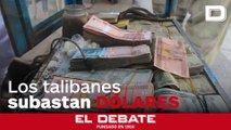 Los talibanes organizan subastas de dólares para frenar la depreciación de la moneda ante la crisis económica