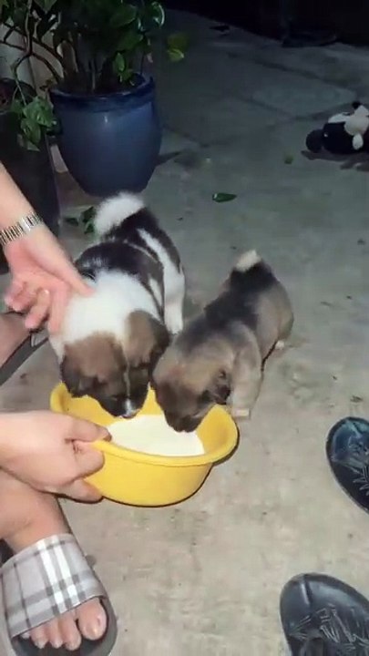 Nun ja, ich trinke keine Milch, ich esse Wurst.