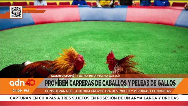 Prohíben carreras de caballos y pelea de gallos en Chiapas
