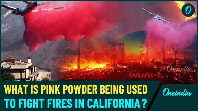 California Wildfires Day 7: What is Pink Powder? How Phos-Check Fighting LA Pacific Palicades Fire?