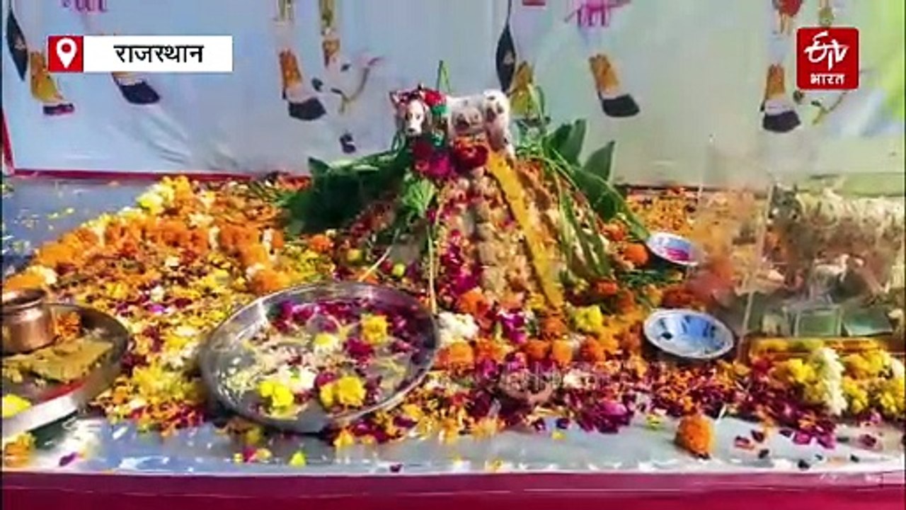 झालावाड़: गौ माता को लगाया छप्पन भोग ,मुख्यमंत्री से गौ माता को राज्य माता घोषित करने की मांग
