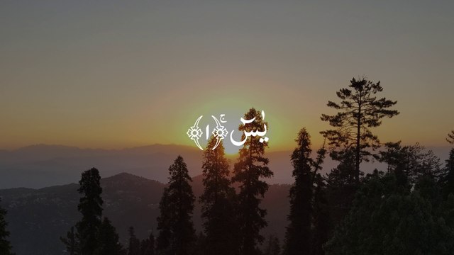 Surah Yaseen - Yasin - Ya-Sin - سورۃ یٰس - Beautiful Recitation | Quran Recitation #Daily #Yaseen