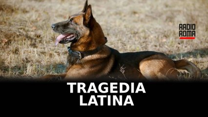 Morta azzannata dai cani vicino a Latina