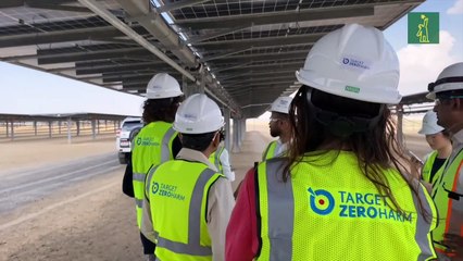 Casi 4 millones de paneles y robots para limpiar: así es la mayor planta solar del mundo