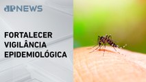 Ministério da Saúde reforça ações em quatro estados para combater arboviroses